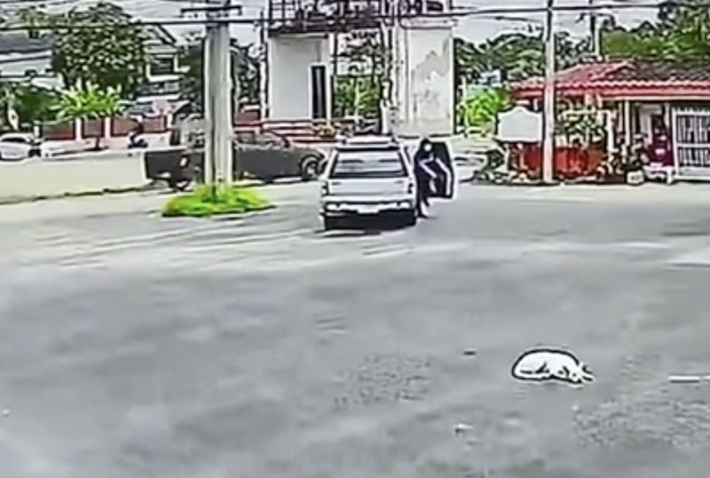 ▲疑似是車主並未將手煞車拉起,車子慢慢向前滾動,直直的往大馬路上衝過去。(圖/翻攝自AP美聯社&Newsflare)