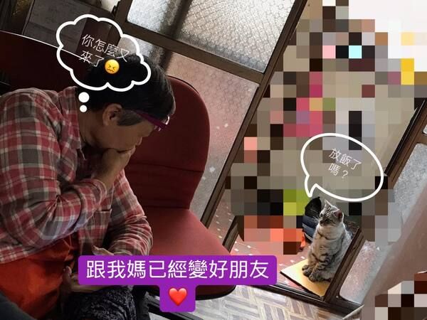 ▲叮咚~本喵又來囉!(圖/網友洪向辰(韓國小丸子)授權提供)