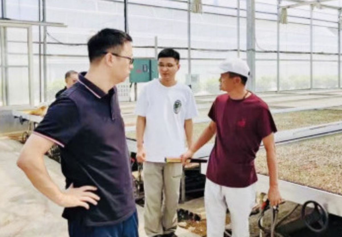 ▲深陷中國監管風暴中心的阿里巴巴集團創辦人馬雲，1日在浙江省平湖市現蹤，似乎在視察自家集團的幾個數位農業大棚。（圖／翻攝自微博）