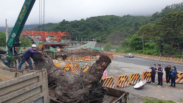 ▲六龜分局桃源所員警查獲，山老鼠們利用颱風天假藉疏濬名義利用挖土機盜伐價值高達200萬的百年牛樟木。(圖／記者郭凱杰翻攝)