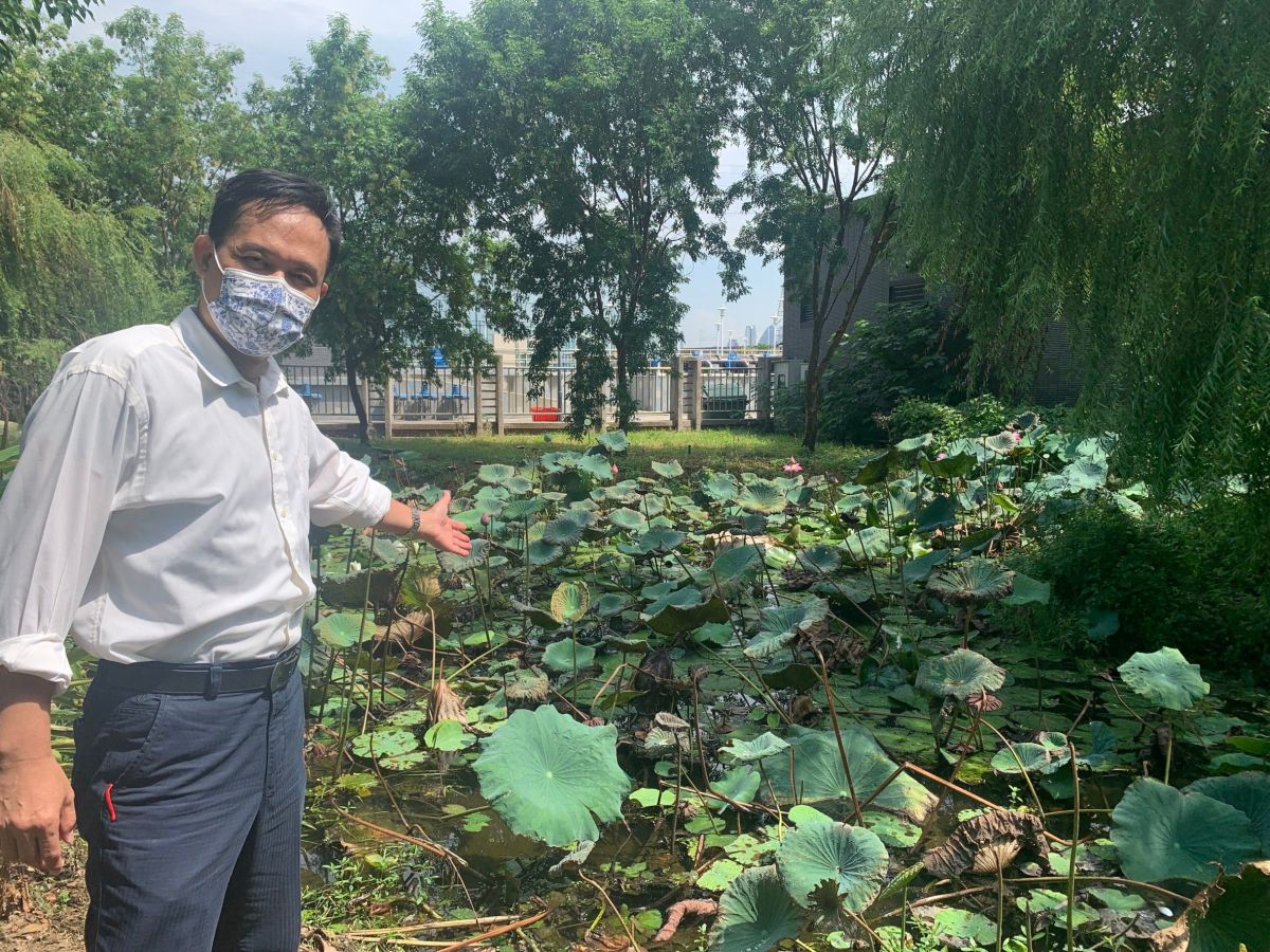 ▲議員張耀中指出，文山水資源中心親水綠地，疑似無人管理的秘境(圖／張耀中提供2021.9.16)