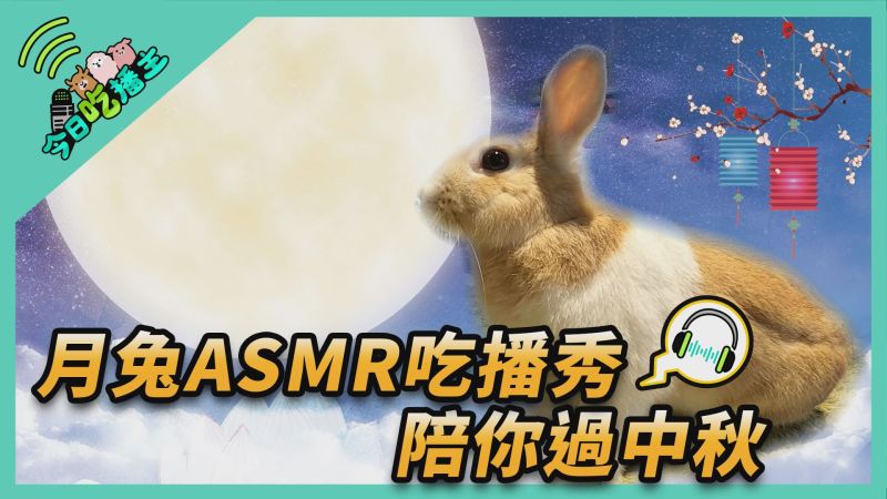 ▲月兔ASMR吃播秀 陪你過中秋。(圖／NOWnews )