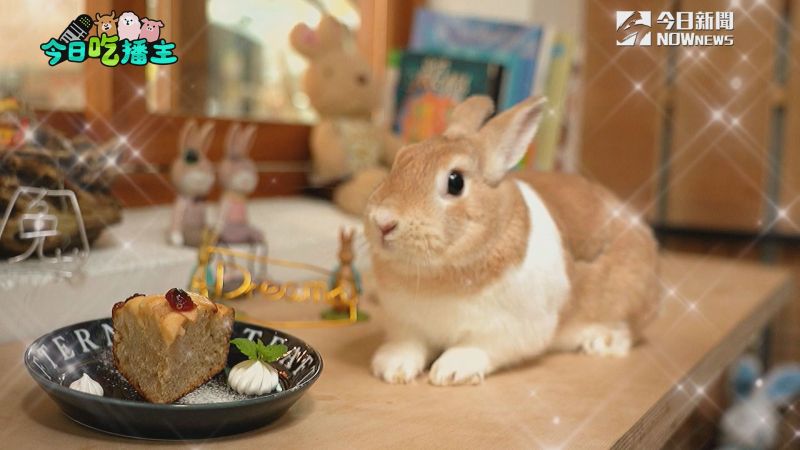 ▲餐廳內還有好吃的蛋糕,兔子在意旁陪你,很療癒。(圖/NOWnews
