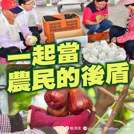 ▲中國禁止台灣釋迦蓮霧輸入，副總統賴清德表示「一起當農民的後盾」。（圖／賴清德臉書）