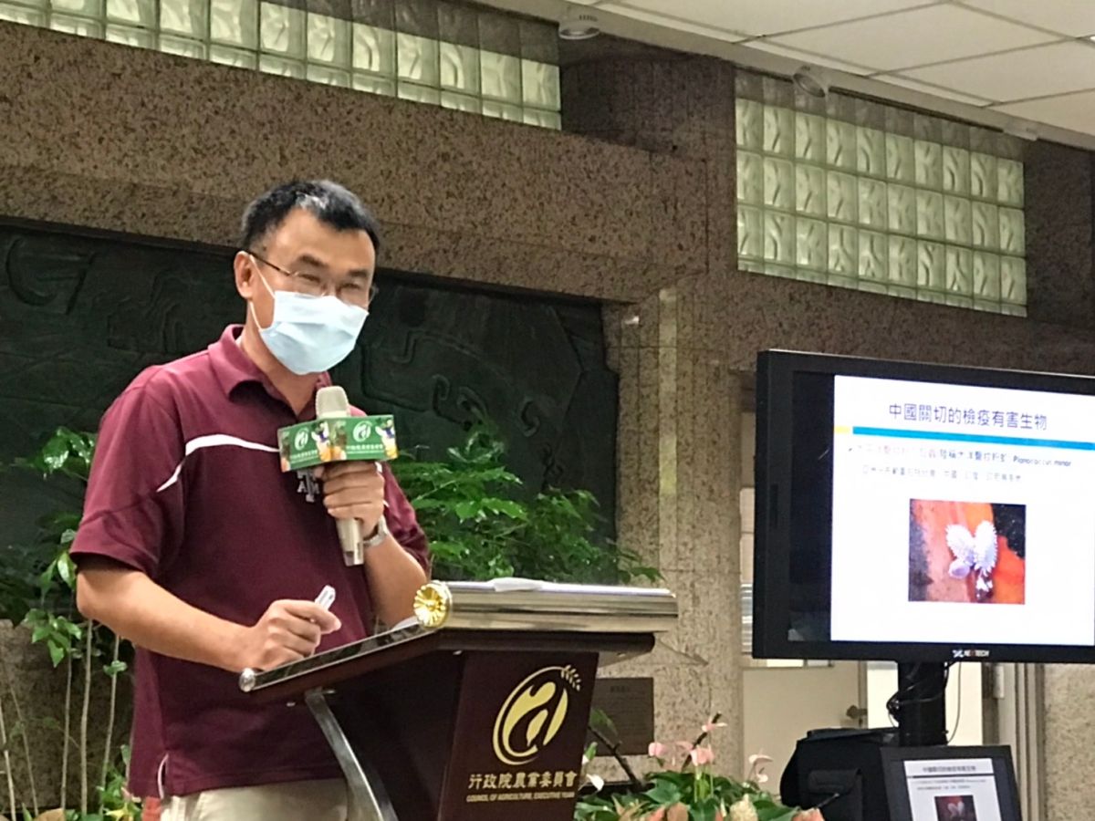 ▲農委會主委陳吉仲昨（19）日表示，中國禁我國蓮霧與釋迦，完全不符合國際規範，也沒有科學根據。（圖／農委會提供）