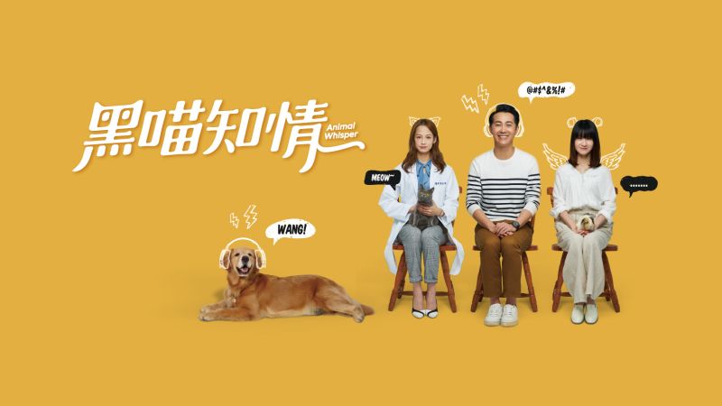 ▲《黑喵知情》是首部以寵物溝通為主題的台劇。(圖/黑喵知情
