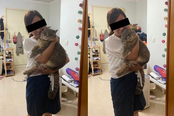 ▲嚕嚕:看好了,本喵只示範一次如何迎接奴才回家,將頭不停蹭蹭奴才,就會得到很多親親……(圖/網友Pikyu