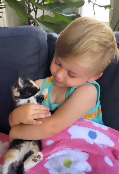 ▲艾許和貓咪們相處融洽。（圖／Instagram帳號：rukasthecat） 