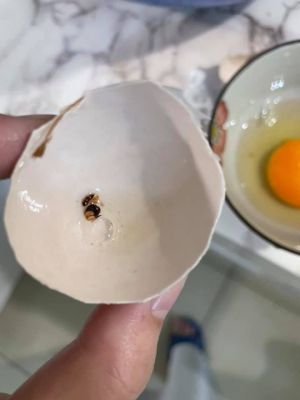 ▲原PO一打雞蛋進碗裡卻見「神祕顆粒」。（圖／翻攝自臉書《我愛全聯好物老實說》）