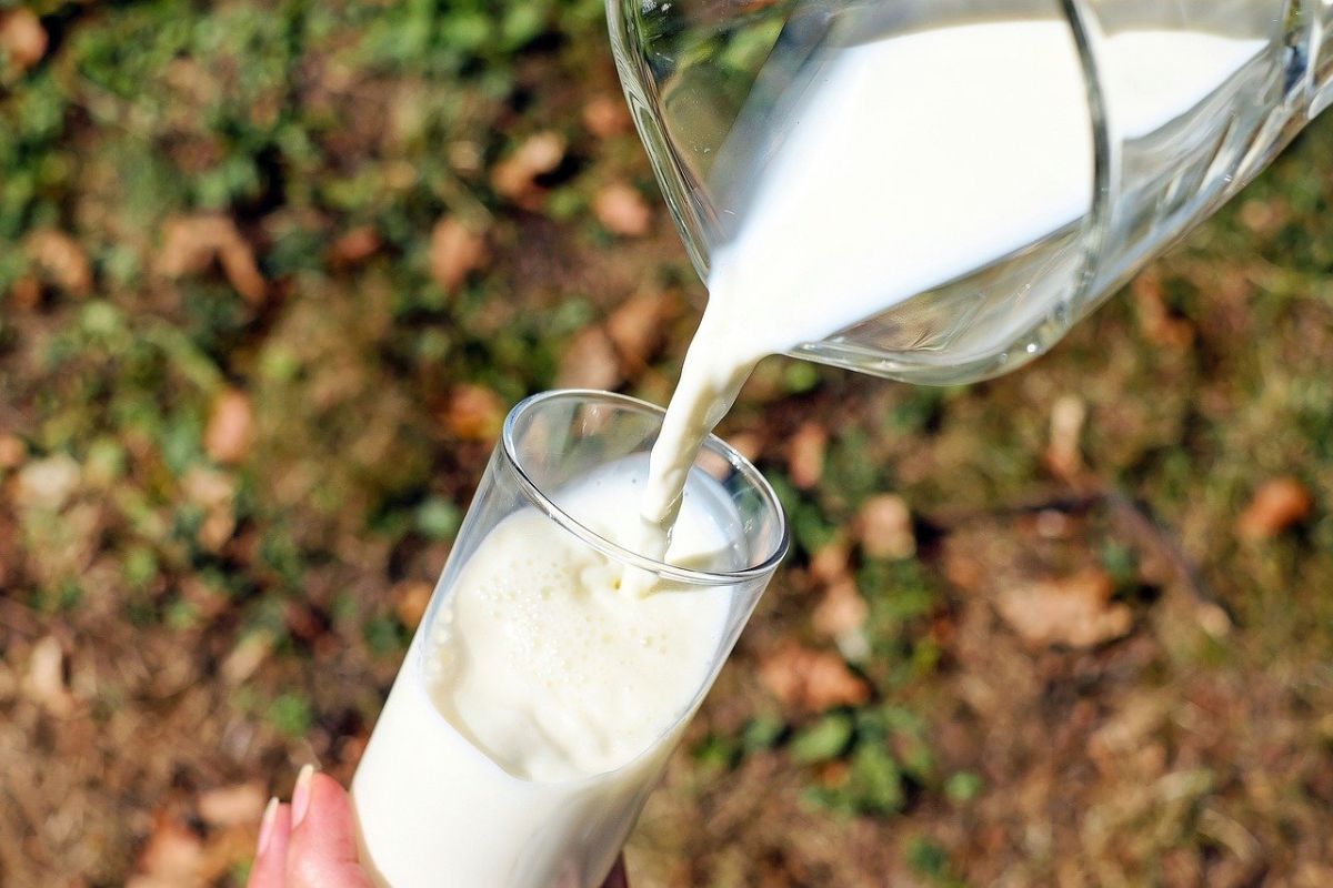 ▲一日之計在於晨！不少人吃早餐都會搭配一杯香醇的牛奶。（示意圖／翻攝pixabay）