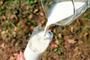 ▲根據全球資料庫網站「Numbeo」資料顯示，台灣牛奶價格位居世界第二貴，就有行家點出台灣牛奶昂貴的關鍵。（示意圖／翻攝pixabay）