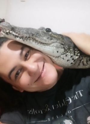 沼澤貓向主人撒嬌 估溜大眼直視:摸偶! ▲這名男子跟寵物鱷魚感情好,在TikTok上放閃。(圖/TikTok帳號turtlesandcrocs)