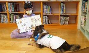 世界動物日!毛小孩化身最萌圖書館員 陪小朋友閱讀