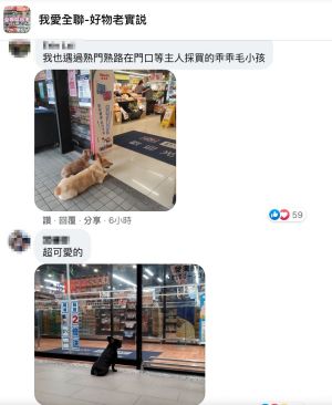 ▲也有網友PO出自己曾遇過的狗狗。(圖/翻攝自《我愛全聯-好物老實説》) ▲也有網友PO出自己曾遇過的狗狗。(圖/翻攝自《我愛全聯-好物老實説》)