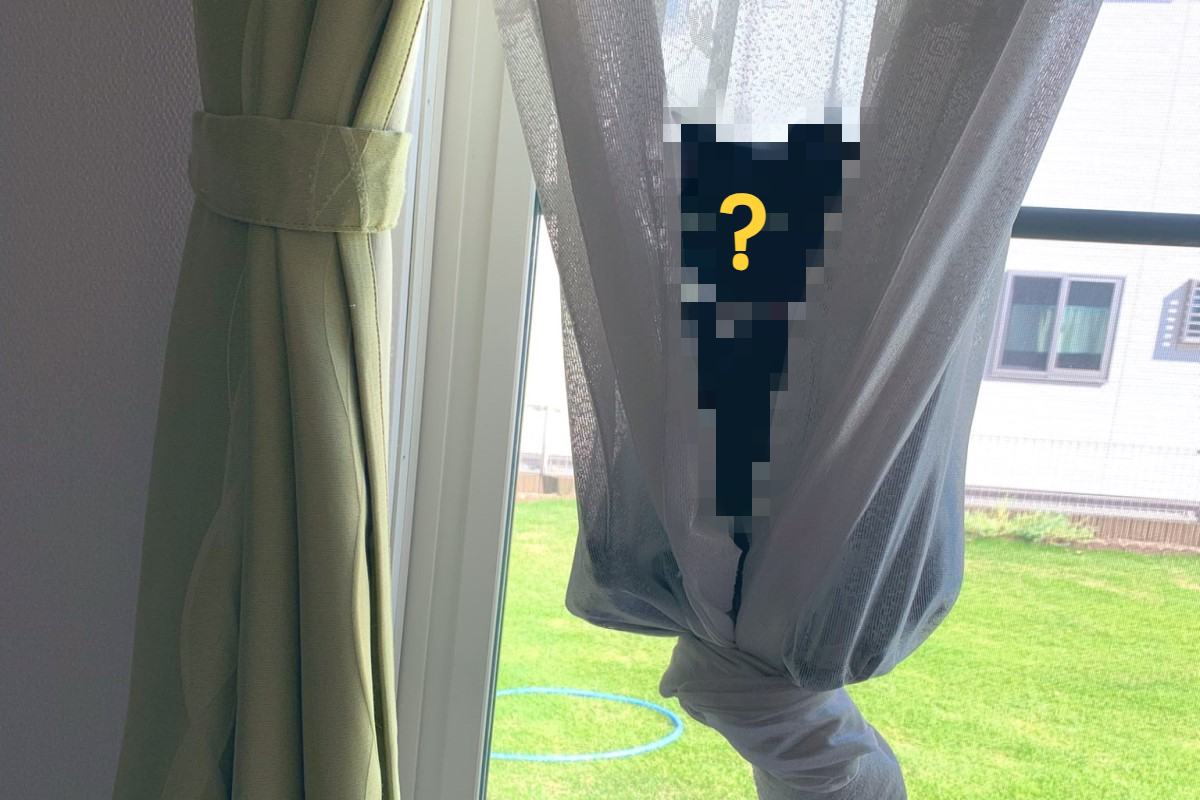 日本一名推主家的窗簾裡突然出現奇妙生物。（圖／twitter帳號kuroneko071975）