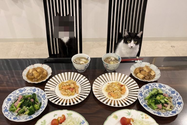 美食當前貓咪反應大不同，有一隻簡直像被妖怪附身！（圖／Twitter帳號：fuji_ayako） 