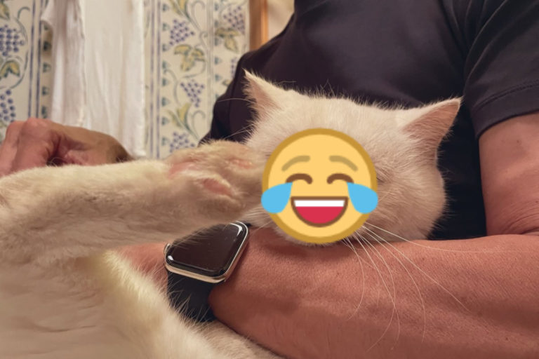 日本一隻白貓剪指甲時滿臉好哀怨！（圖／twitter帳號koji_koji0904）