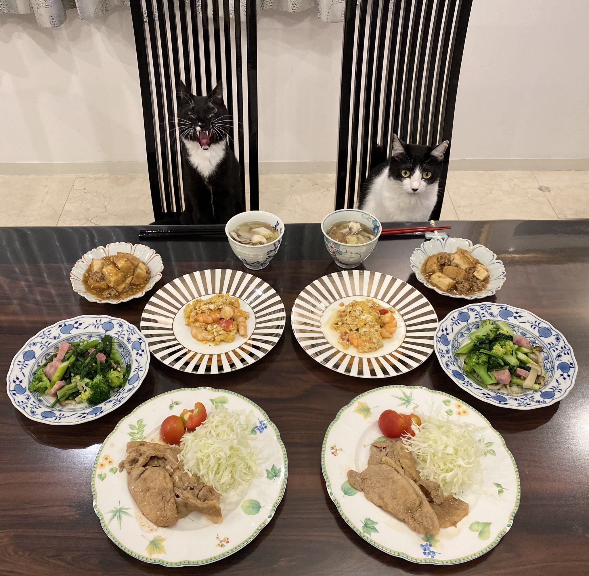 桌上擺滿豐盛美食，兩隻貓咪竟都乖乖坐在椅子上讓飼主拍照。（圖／Twitter帳號：fuji_ayako）