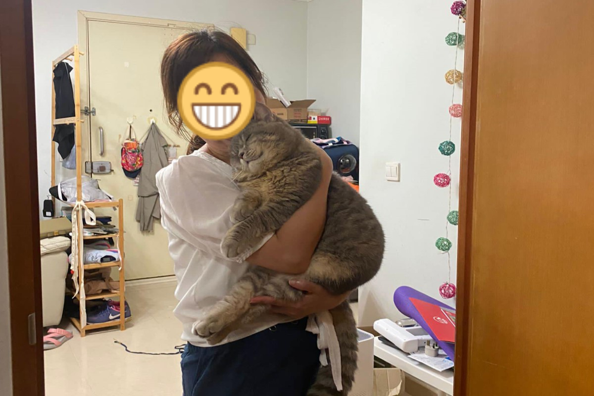 香港網友一回家，圓臉萌貓立刻上前撒嬌迎接，還露出幸福的表情！（圖／網友Pikyu Kwok授權提供）