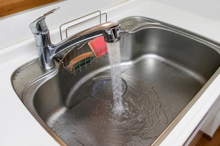 ▲網友家中廚房的洗碗槽內的通水孔廚餘網竟然「發芽」了。（圖／Shutterstock）