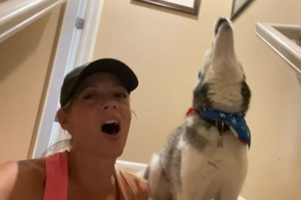 梅根在家唱歌時，一旁的哈士奇Cash跟著合聲。（圖／AP美聯社/Storyful）