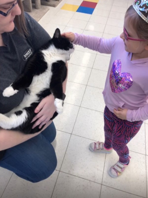 賓士貓每天陪小主人等校車 目送她離開:等妳回來喔!