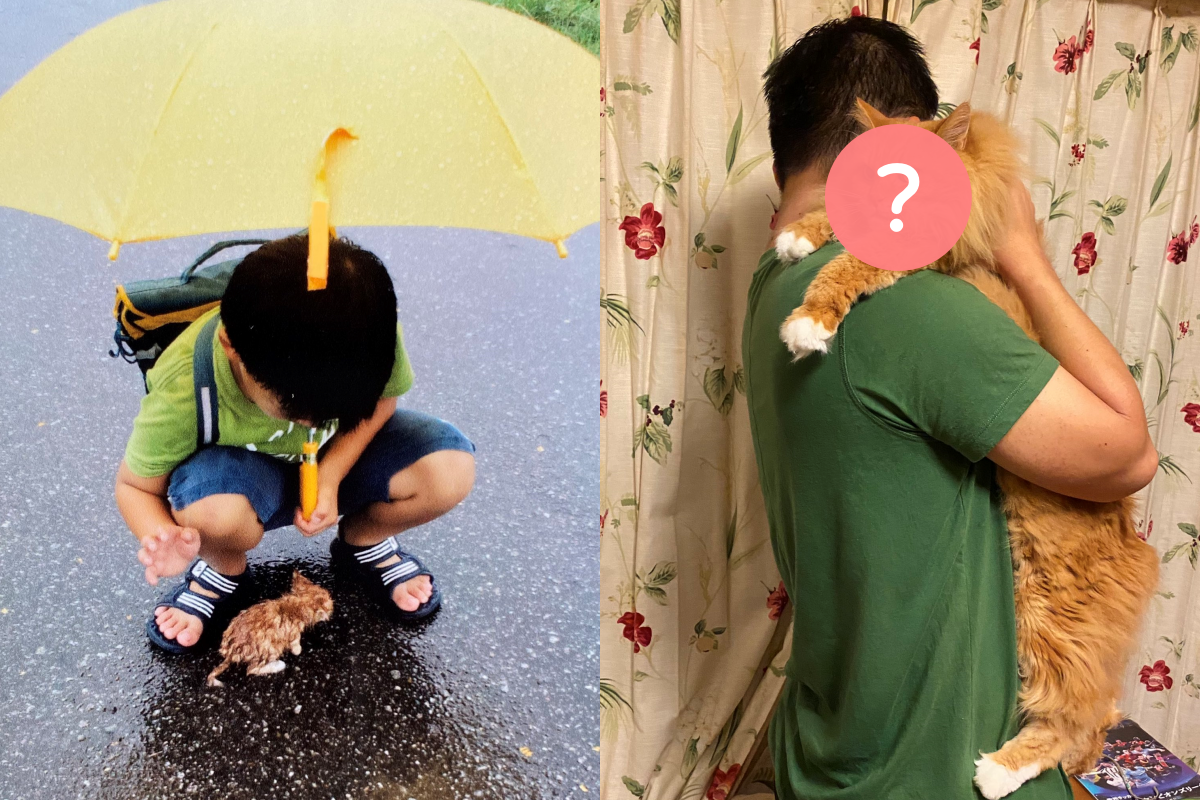 小貓在10年大雨中相識男孩，與如今對比真的長大很多！（圖／Twitter帳號：pyonta_F） 