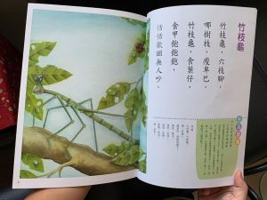 ▲「竹枝龜」其實就是竹節蟲。（圖／翻攝自《爆怨2公社》臉書）