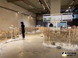 國際插畫家聯展登場 疫情下用插畫療癒你我心靈 ▲國際插畫家聯展今天在文化資產園區登場,來自國內外參展作品,疫情下,用插畫療癒你我心靈。(圖/記者金武鳳攝,2021.10.6)