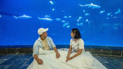▲屏東海生館有「夜宿海生館」體驗活動。（圖／屏東海生館提供）