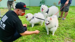 ▲陳柏惟參加「守護愛犬杜絕狂犬病活動」，他接近陌生狗兒前先屈起手指，減少汪汪的緊張。（圖／記者顏幸如攝影，2021.10.11）