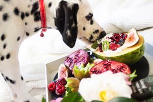 ▲狗狗的飲食控制非常重要，可以購買市面上可靠的老年犬專門犬糧。（圖／pexels）