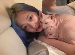崔雪莉與愛貓布林 ▲南韓知名女星崔雪莉與愛貓布林。(圖/翻攝自布林IG)