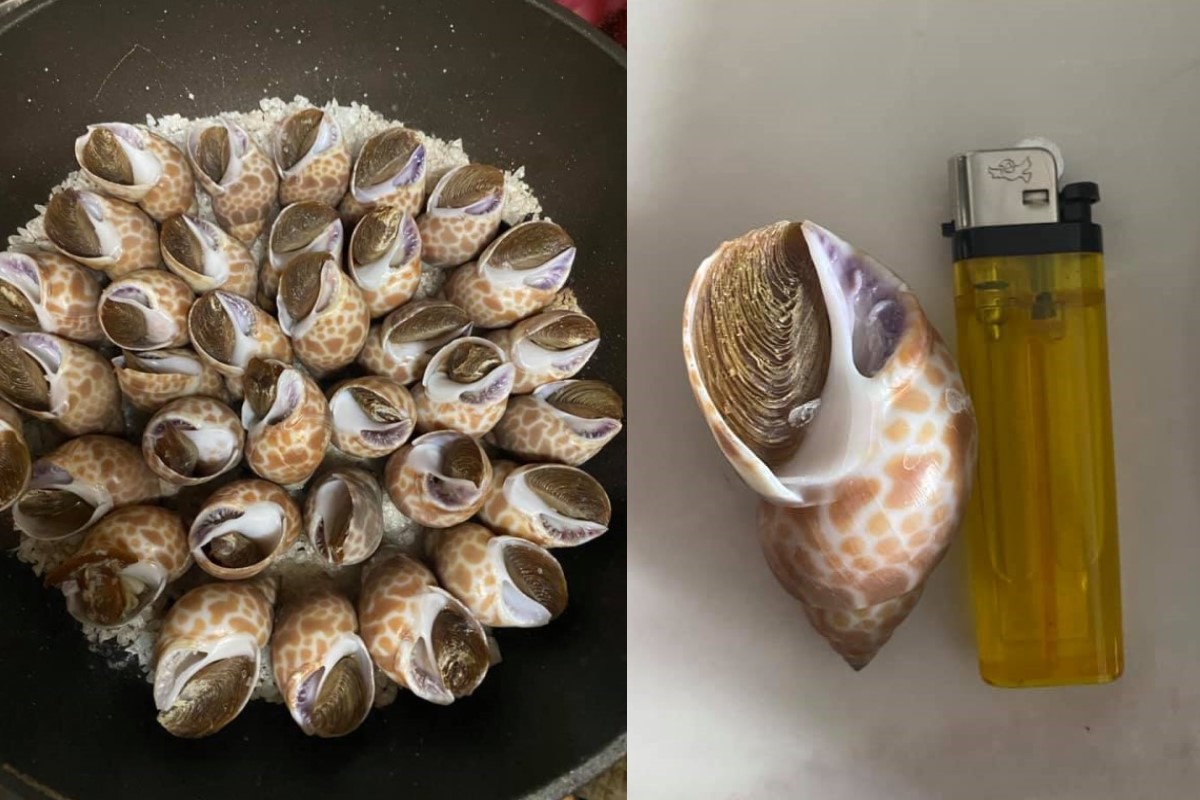 ▲一名網友在臉書社團分享自製鹽焗花螺當下酒菜,網友紛紛表示食慾大開!(圖/翻攝自《廚藝公社》)