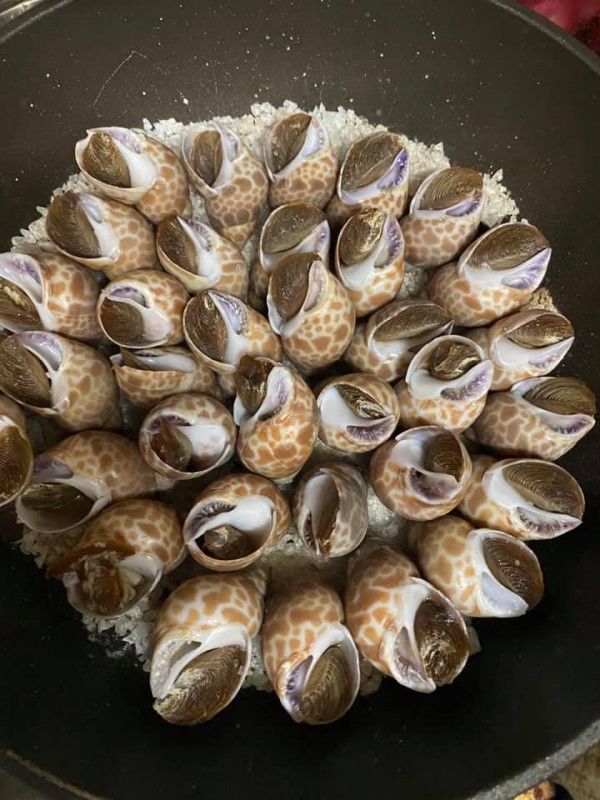 ▲將洗淨後的花螺平舖在炒過的粗鹽上,加蓋焗3~5分鐘即可完成。(圖/翻攝自《廚藝公社》)