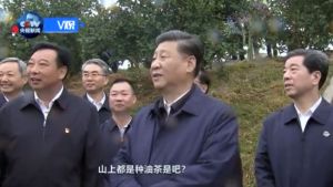 ▲中國國家主席習近平2019年9月16日前往光山縣司馬光油茶園。(圖/擷取自《CCTV》影片) ▲中國國家主席習近平2019年9月16日前往光山縣司馬光油茶園。(圖/擷取自《CCTV》影片)