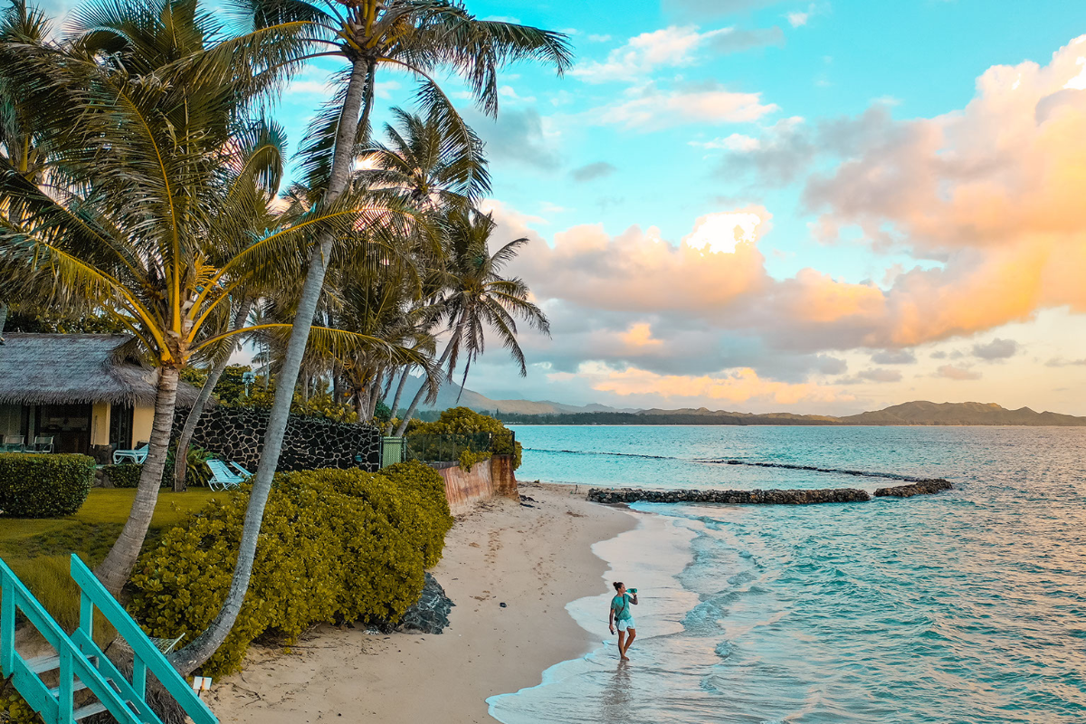 ▲今天6月29日是由聯合國訂定的「國際熱帶日」！旨在凸顯熱帶地區受森林砍伐、氣候變化等問題加劇，對全球產生深遠影響，呼籲大家愛護地球。今同時也是「聖彼得與聖保羅紀念日」。（圖／擷取自pexels）