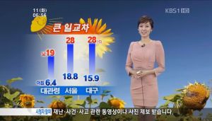 ▲崔英雅五官標緻、氣質出眾,目前已離開電視圈。(圖/KBS YouTube) ▲崔英雅五官標緻、氣質出眾,目前已離開電視圈。(圖/KBS YouTube)