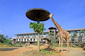 六福旅遊集團線上旅展推「關西六福莊動物歷險記專案」可以與動物為鄰。(圖/業者提供) ▲六福旅遊集團線上旅展推「關西六福莊動物歷險記專案」可以與動物為鄰。(圖/業者提供)