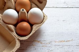 ▲蛋,雞蛋,荷包蛋,水煮蛋。（示意圖／取自pixabay）