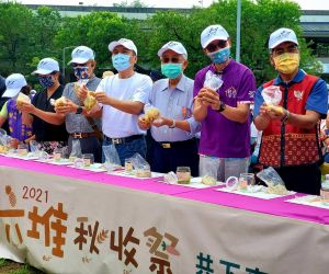 六堆秋收祭共下做客 族群共好 ▲六堆秋收祭活動,所有貴賓捲起衣袖與現場民眾一同將黃梨(鳳梨vongˇliˇ)及特製醃料,一層層工整的排入瓶中後上蓋密封,象徵將客家好味緒世代傳承。(圖/六堆客家文化園區提供, 2021.10.23)