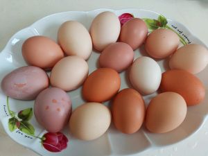 ▲網友購買土雞蛋顏色差異大，內行人表示很正常，放養雞才會長這樣。（圖／取自《家常菜》FB）