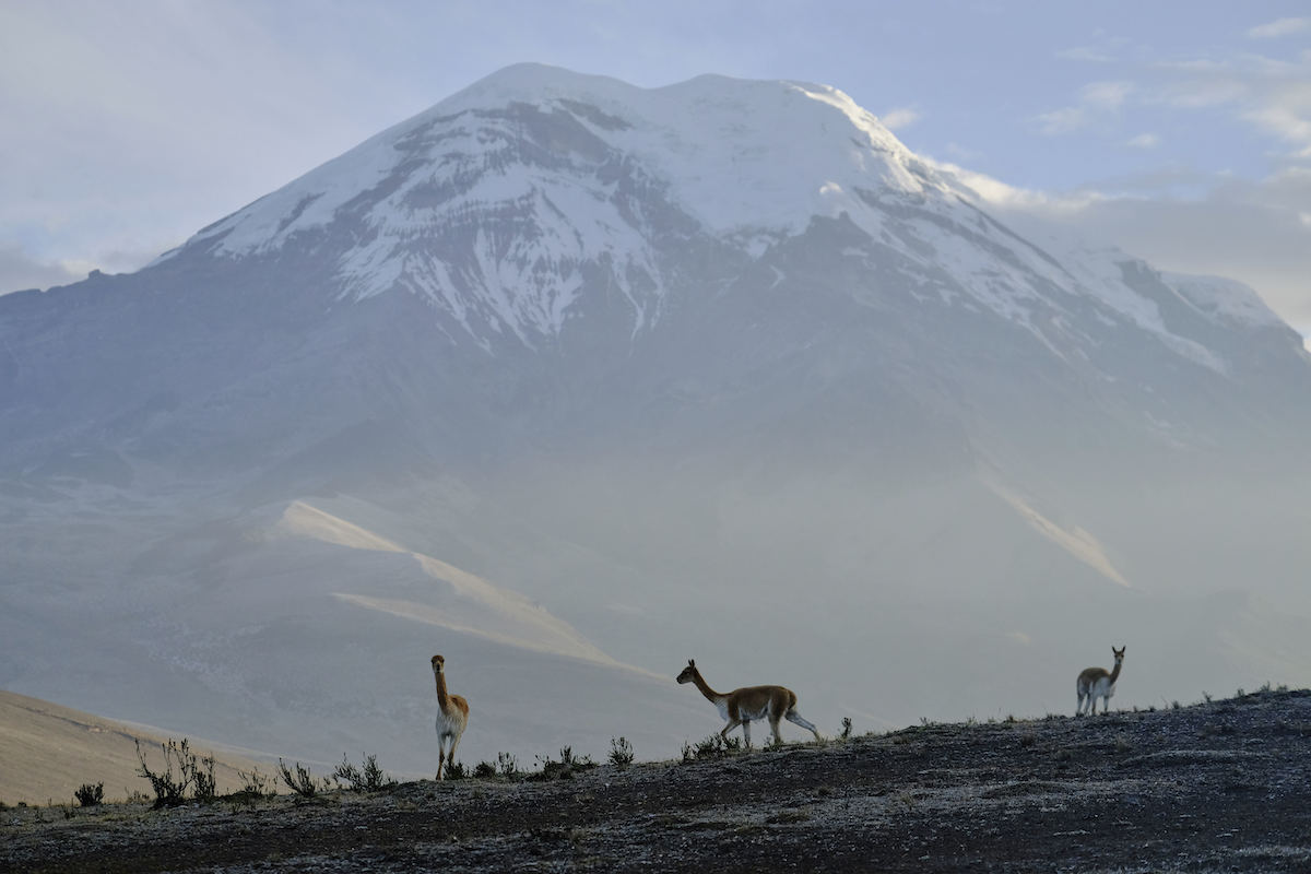 ▲厄瓜多官方表示，境內最高峰青坡拉索火山25日發生雪崩。資料照。（圖／美聯社／達志影像）
