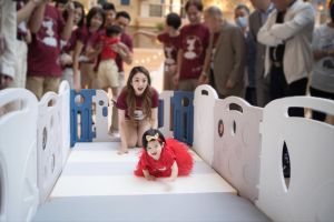 安以軒 ▲安以軒的1歲女兒「娃寶」體驗抓周儀式。(圖/翻攝安以軒FB)
