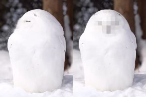 驚見有雪人會轉頭？「真面目」讓網友暖到融化：牠在笑！
