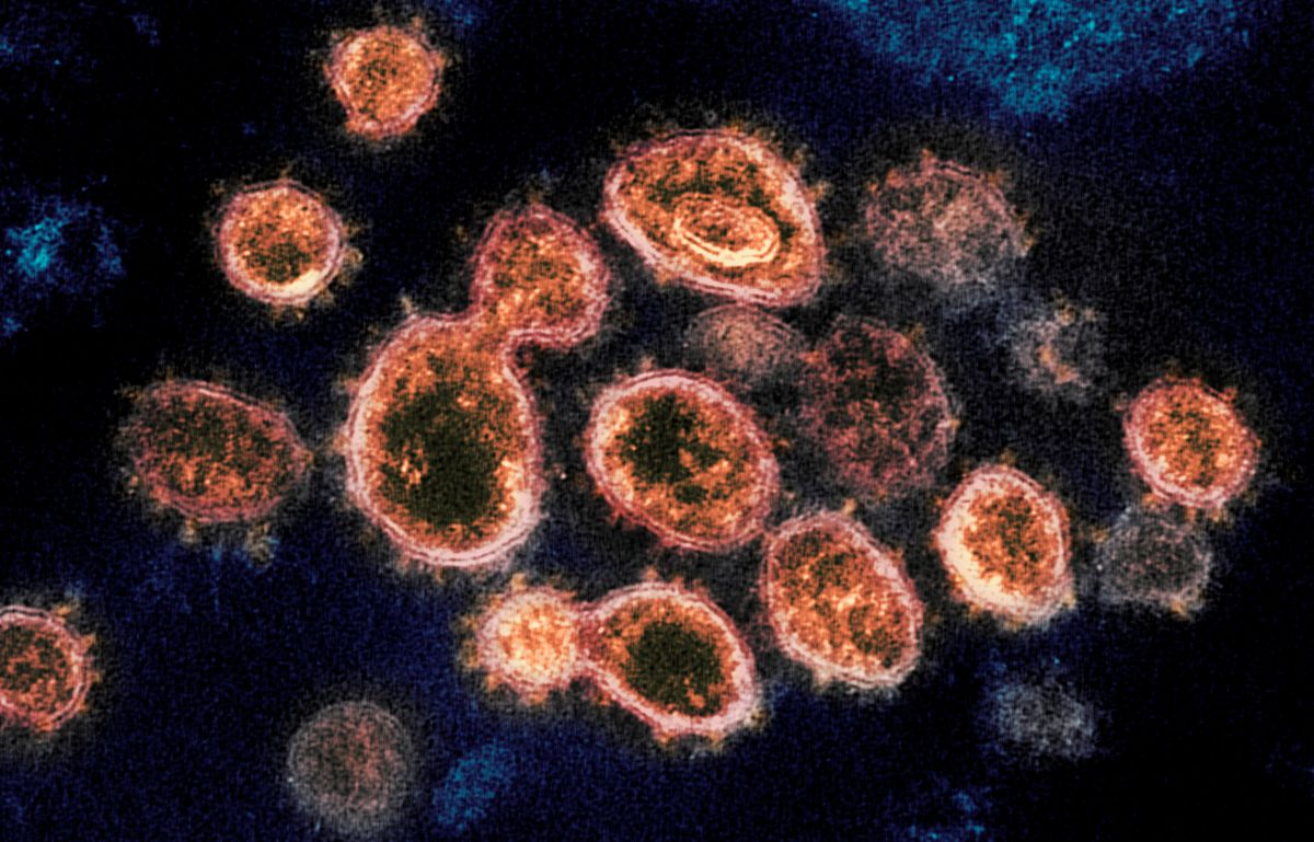 ▲比利時病毒學家評估COVID-19Omicron變異株傳播快速，明年一月將成為境內確診病例主流，病例將大幅增加。（圖／美聯社／達志影像）