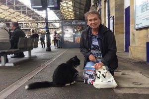 ▲偶爾接受粉絲的拜訪及供奉小零食……（圖／FB@Felix the Huddersfield Station Cat）