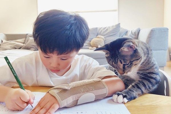 ▲身為專業的保母，Kosumosu不僅會陪玩，也會認真盯Ty寫功課。（圖／IG帳號rie_mrmt）