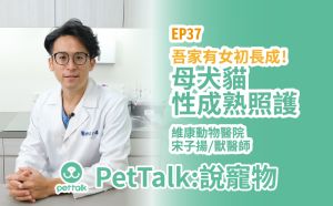 ▲邀請到維康動物醫院宋子揚獸醫師，在PetTalk Podcast中聊聊貓狗的性成熟照護。（圖／PetTalk提供）