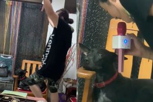 黑狗一聽阿嬤熱力開唱想逃 下秒被吼無辜回座:別唱惹!